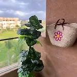 Appartment With Panoramic Views